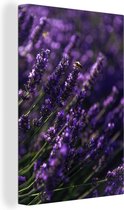 Canvas Schilderij Close-up van lavendel met bij - 60x90 cm - Wanddecoratie