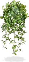 Monstera kunsthangplant 80 cm bont - 100% Tevredenheidsgarantie