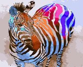 Paint by Number - Schilderen op Nummer - Colorful Zebra - paintbynumber.eu