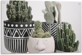 Tuinposter – Cactus Plantjes - 90x60cm Foto op Tuinposter  (wanddecoratie voor buiten en binnen)
