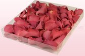 Rozenblaadjes | 100% natuurlijk | Koraal | 1 liter