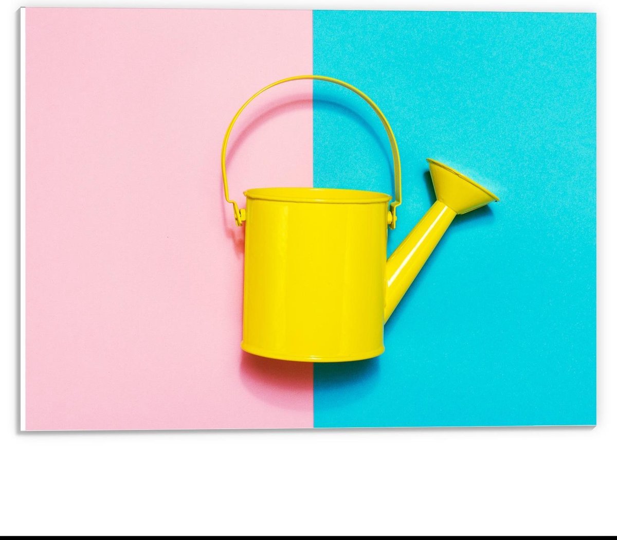 Forex - Gele Gieter op Blauw/Roze Vakken - 40x30cm Foto op Forex