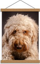 Schoolplaat – Ondeugende Hond - 30x40cm Foto op Textielposter (Wanddecoratie op Schoolplaat)