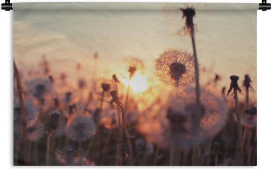 Tapisserie - Pissenlit - Coucher de soleil - Printemps - 180x120 cm - Tapisserie