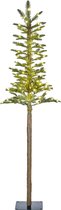 Black Box Trees - Pleso kerstboom led groen 100L TIPS 211 - h155xd48cm- Kerstbomen