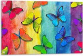 Tuinposter – Vlinders op Krijt Achtergrond - 90x60cm Foto op Tuinposter  (wanddecoratie voor buiten en binnen)