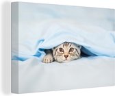 Canvas Schilderij Een kitten onder een deken - 30x20 cm - Wanddecoratie