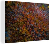 Canvas Schilderij Een luchtfoto van donkerbruin gekleurde boomtoppen - 120x90 cm - Wanddecoratie