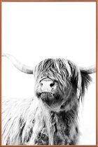 JUNIQE - Poster met kunststof lijst Highland Cattle Frida 2 -30x45