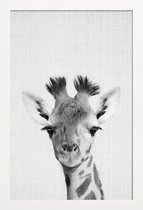 JUNIQE - Poster in houten lijst Giraffe - monochrome foto -60x90