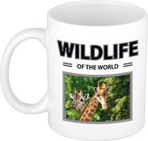 Giraf mok met dieren foto wildlife of the world