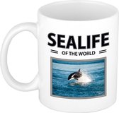 Orka mok / beker met dieren foto sealife of the world