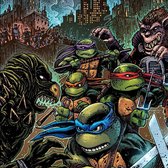 Teenage Mutant Ninja Turtles II/Secret of von John Duprez | CD | Zustand gut