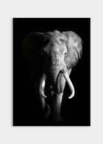 Poster Dark Elephant ³ - Papier - Meerdere Afmetingen & Prijzen | Wanddecoratie - Interieur - Art - Wonen - Schilderij - Kunst