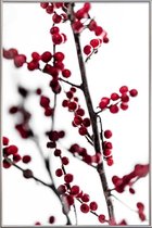 JUNIQE - Poster met kunststof lijst Red Berries 1 -20x30 /Rood & Wit