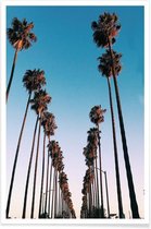 JUNIQE - Poster Wanna Be in LA by @samfn -20x30 /Blauw & Turkoois