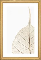 JUNIQE - Poster met houten lijst Translucent Leaf -13x18 /Wit