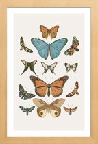 JUNIQE - Poster in houten lijst Vlinders -60x90 /Grijs & Ivoor