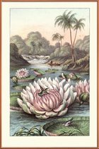 JUNIQE - Poster met kunststof lijst Water Lily -30x45 /Grijs & Groen
