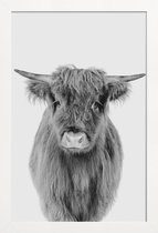 JUNIQE - Poster in houten lijst Young Highland Cow Classic -60x90 /Wit