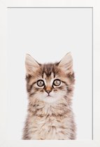 JUNIQE - Poster in houten lijst Kitten II -20x30 /Bruin & Grijs