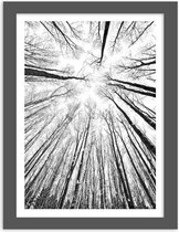 Foto in frame , Dak van bomen , 70x100cm , Zwart wit  , Premium print