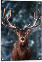 Tuinposter – Aankijkend Hert voor Bomen met Sneeuwvlokjes - 60x90cm Foto op Tuinposter  (wanddecoratie voor buiten en binnen)