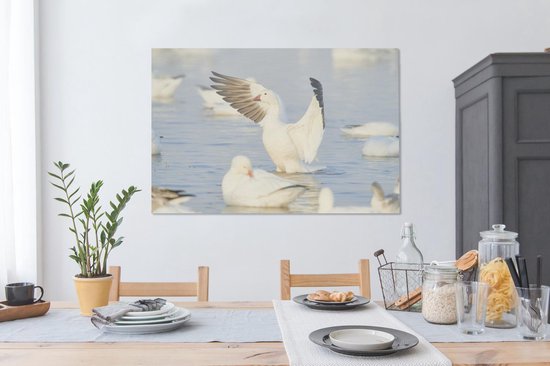 Oie des neiges vole hors de l'eau Toile 140x90 cm - Tirage photo sur toile (Décoration murale salon / chambre)