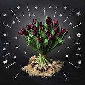 Boeket 15 Paarse Tulpen met Bol - van BOLT Amsterdam - Vers, direct uit eigen kwekerij - Met de hand gebonden - Gratis thuis bezorgd