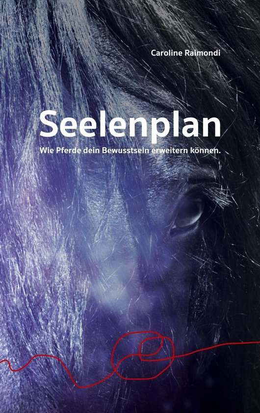 Seelenplan - cover