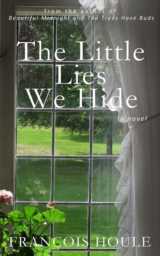 The Little Lies We Hide - cover