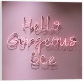 Forex - Tekst: ''Hello Gorgeous Bae'' in het Roze - 50x50cm Foto op Forex