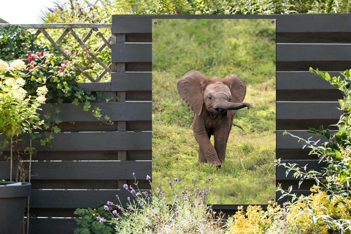 Bébé éléphant d'Afrique dans l'herbe 40x60 cm