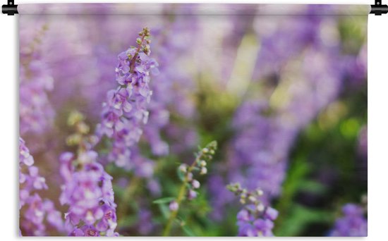 Tapisserie La lavande - Gros plan de lavande entière dans un champ Tapisserie en coton 180x120 cm - Tapisserie avec photo XXL / Groot format!