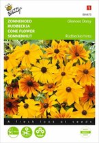 Buzzy Seeds - Rudbeckia Gloriosa Daisy mix