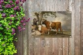 Tuinschilderij De stier - Schilderij van Paulus Potter - 80x60 cm - Tuinposter - Tuindoek - Buitenposter
