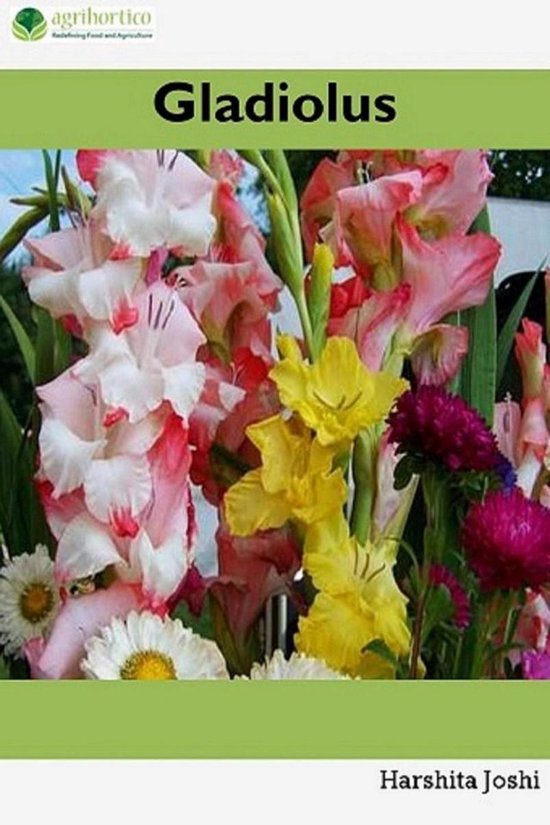 Gladiolus - cover