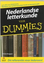 Voor Dummies - Nederlandse letterkunde voor Dummies