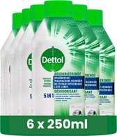 Dettol Nettoyant pour machine à laver Hygiène - 250 ml x 6 - pack économique
