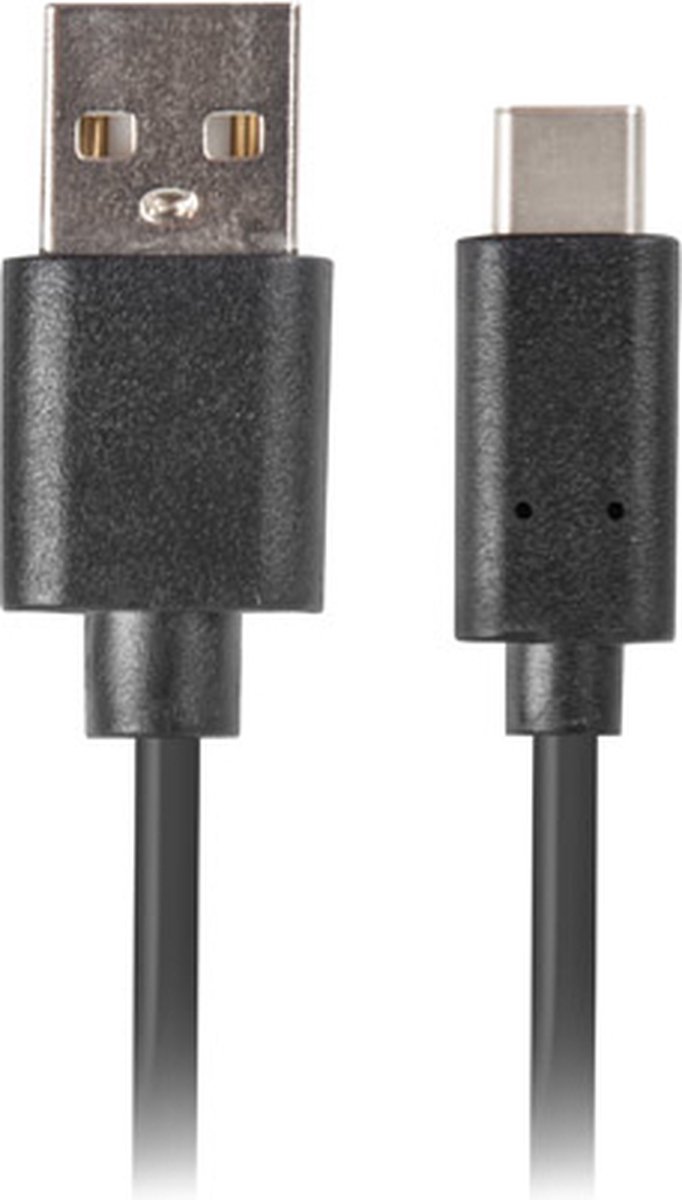 USB A to USB C Cable Lanberg CA-USBO-20CU-0010-BK