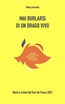 Mai burlarsi di un drago vivo