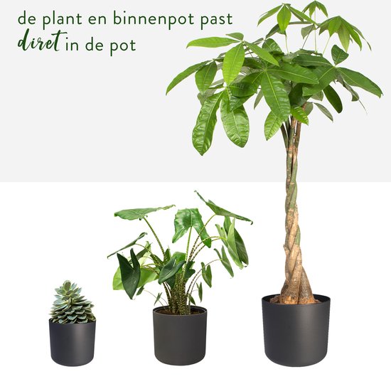 Elho B.for Soft Rond - Bloempotten voor Binnen - 100% Gerecycled Plastic - Set van 3 - Ø 14, 16, 18 cm - Antraciet