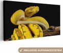 Image du produit 17