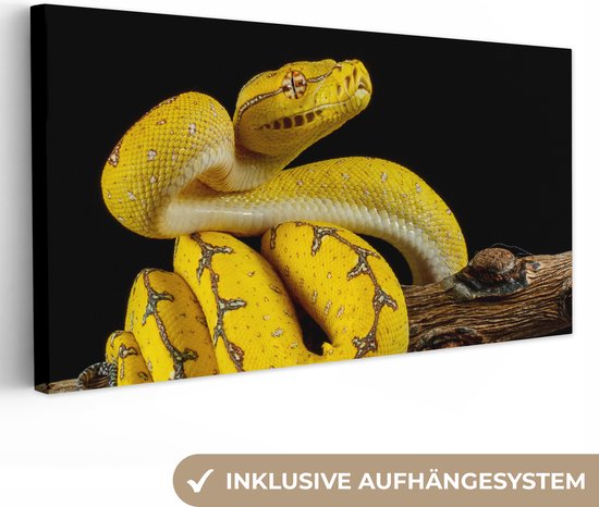 Tableau Peinture Serpent - Branche - Jaune - 160x80 cm - Décoration murale