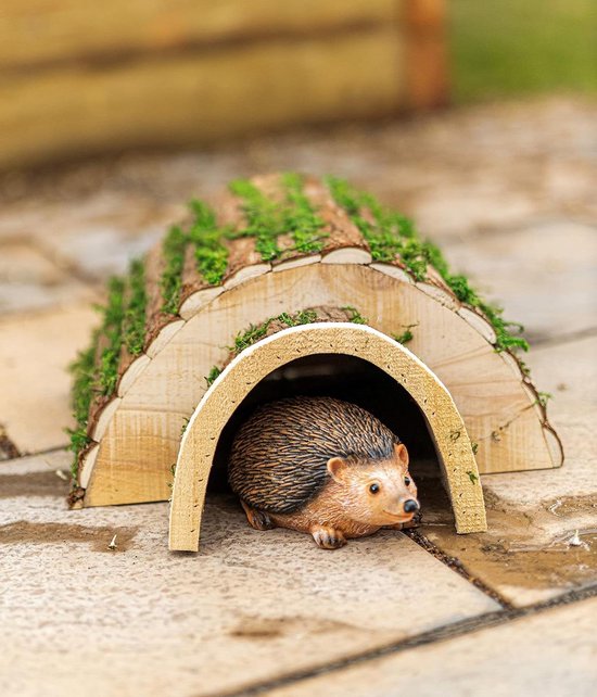 Zo help je egels in je tuin de winter door