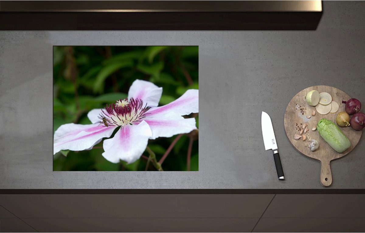 Inductieplaat Beschermer - Clematis Flordie Bloemen in het Wit met Paarse Details - 60x52 cm - 2 mm Dik - Inductie Beschermer - Bescherming Inductiekookplaat - Kookplaat Beschermer van Zwart Vinyl
