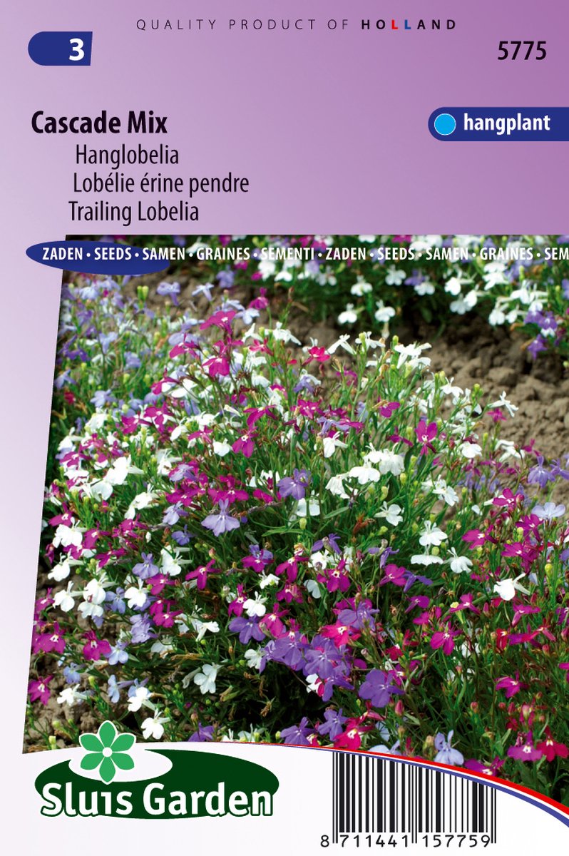 Sluis Garden - Lobelia Cascade Mixed