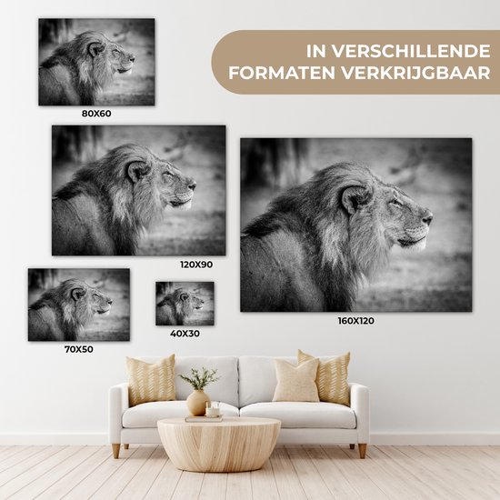 Toile de lion mâle 2cm 160x120 cm - Tirage photo sur toile (Décoration murale salon / chambre) / Animaux sauvages Peintures sur toile XXL / Groot format!