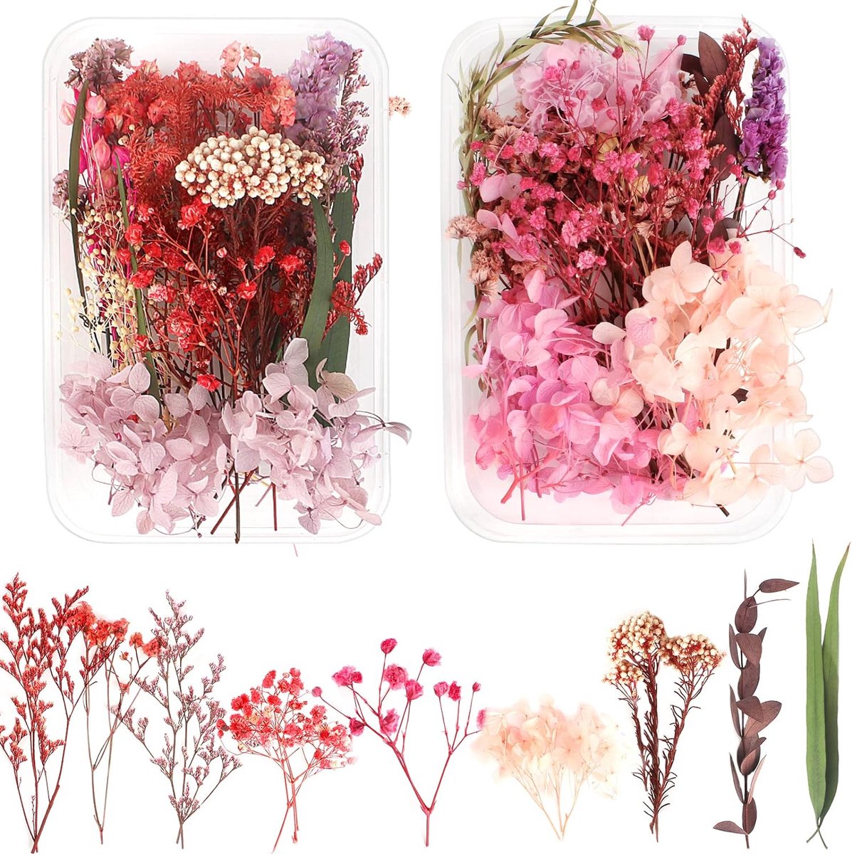 Lang houdbare gedroogde eetbare bloemen – Floral Delight