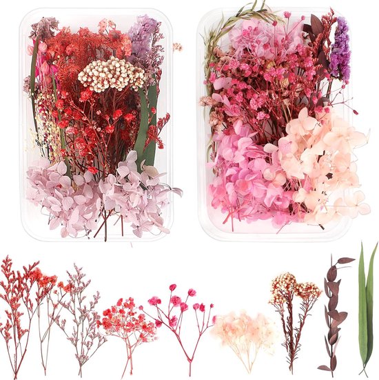 Zeesering Paars Statice Limonium sinuatum Gedroogde bloemen 60cm 50g
